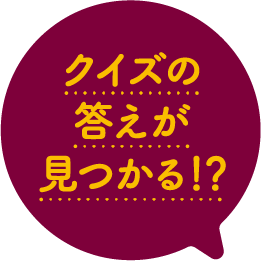 クイズの答えが見つかる！？