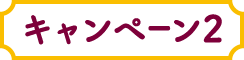 キャンペーン2
