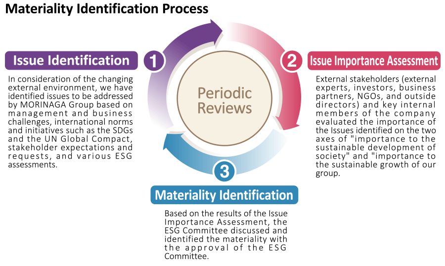 Materiality Identification Process