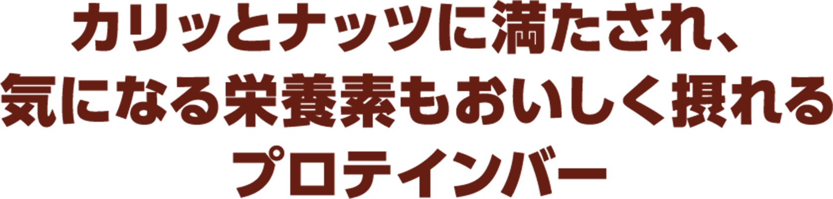 ​カリッと ナッツに満たされ、 気になる栄養素も おいしく摂れる プロテインバー 