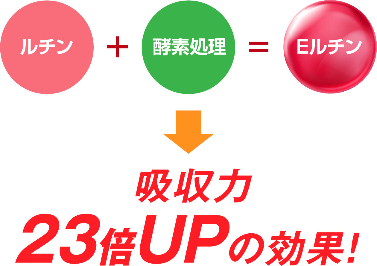 ルチン＋酵素処理＝Eルチン→→→吸収力 23倍UPの効果！
