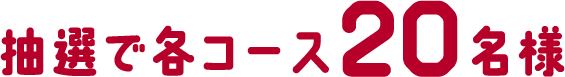 抽選で各コース20名様