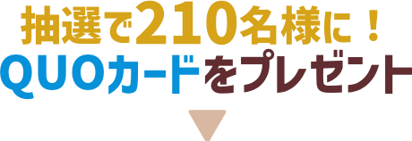 コアラ絵日記とコラボ QUOカードをプレゼント