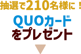 コアラ絵日記とコラボ QUOカードをプレゼント