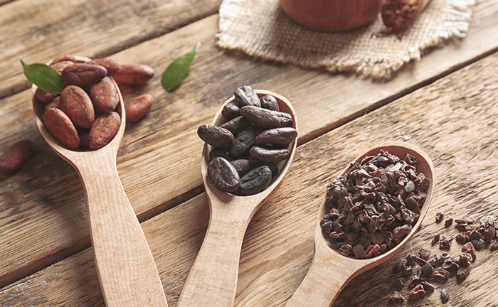 カカオ豆の長い旅 ココアとチョコレートが出来るまで 作り方編 よむココア 森永製菓株式会社